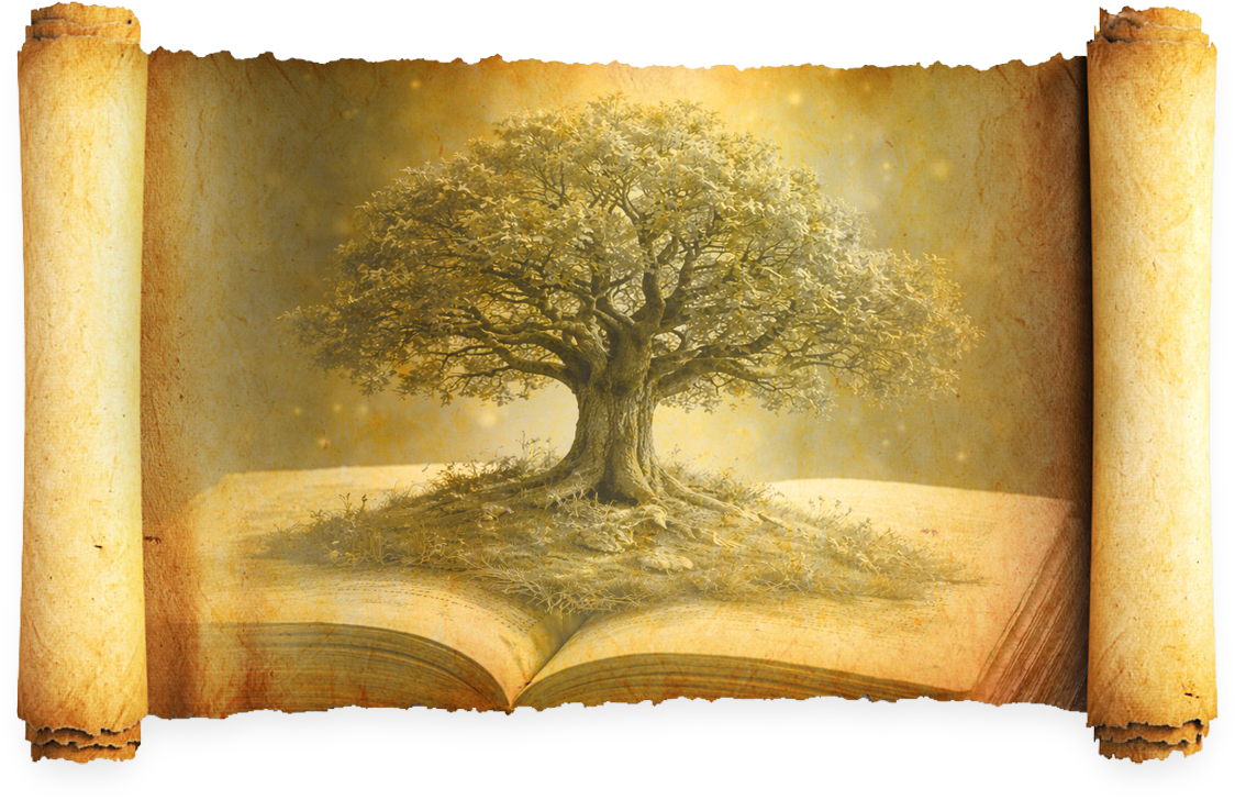 Open Book